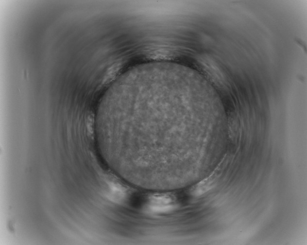 X0000097760175200803211722