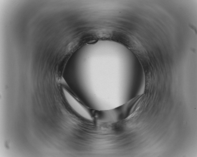 X0000097760176200803211722