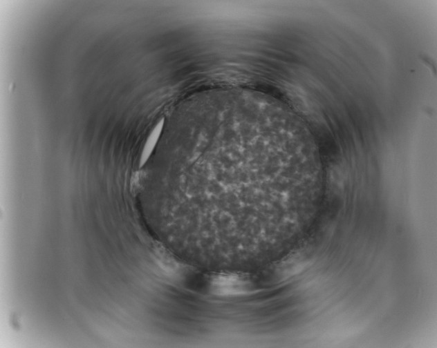 X0000097760177200803211722