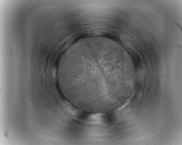 X0000097760178200803211722