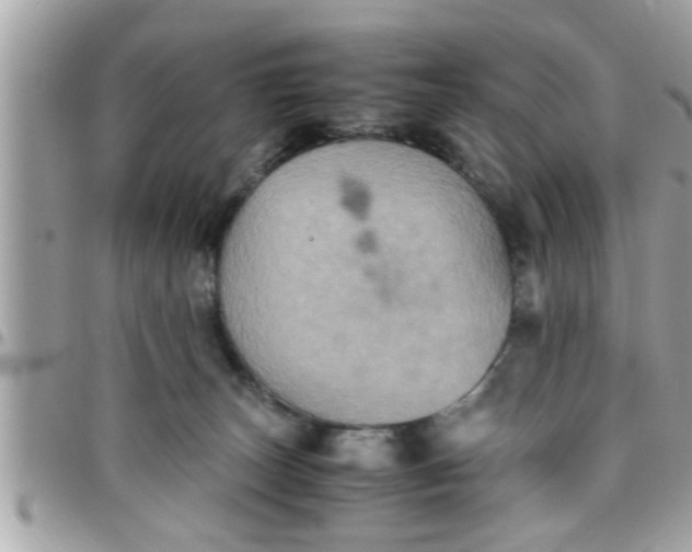 X0000097760179200803211722