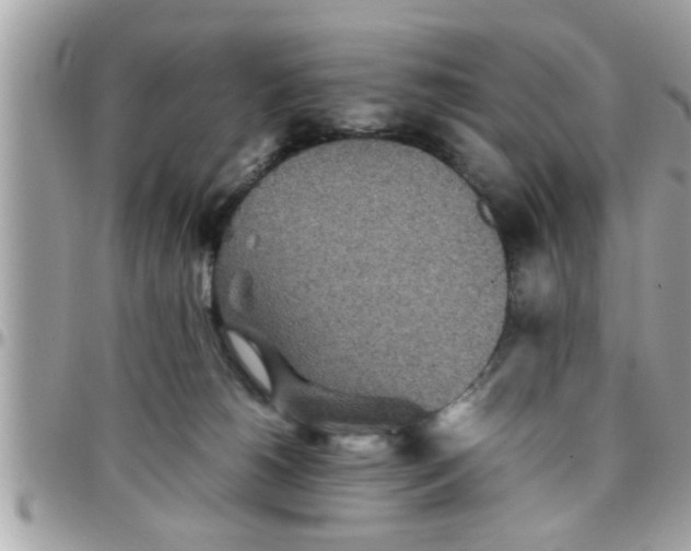 X0000097760180200803211722