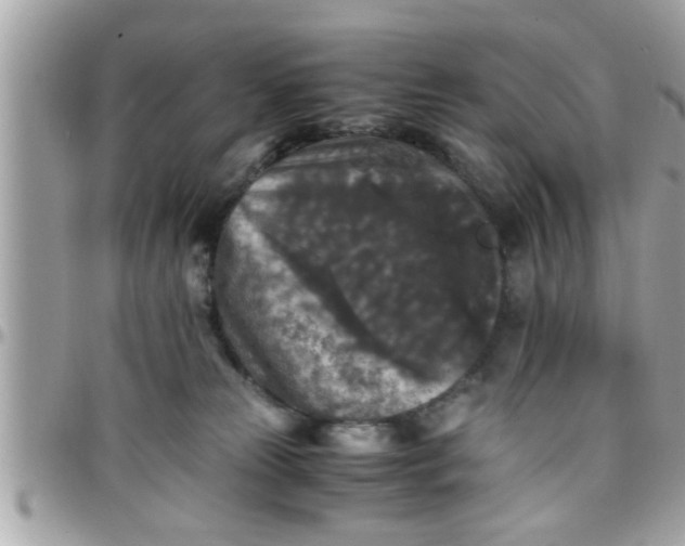 X0000097760181200803211722