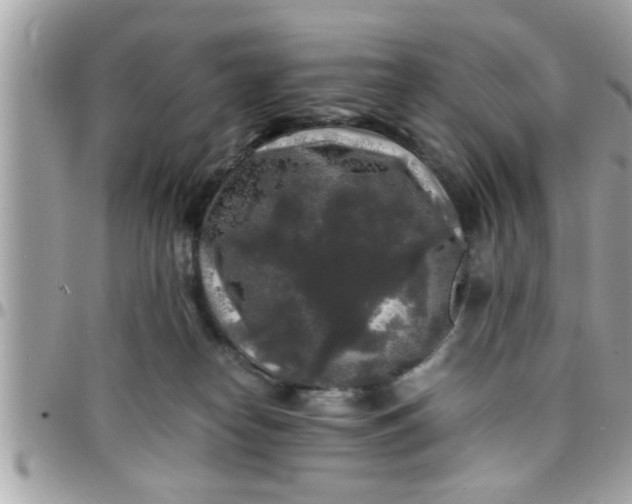 X0000097760182200803211722