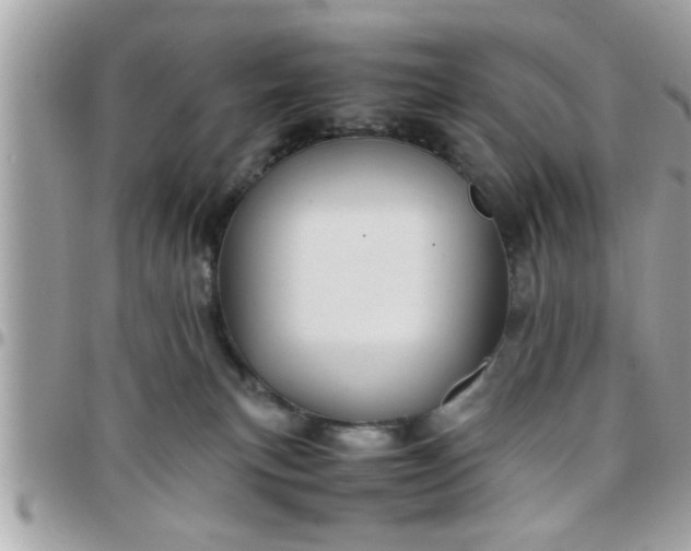 X0000097760183200803211722