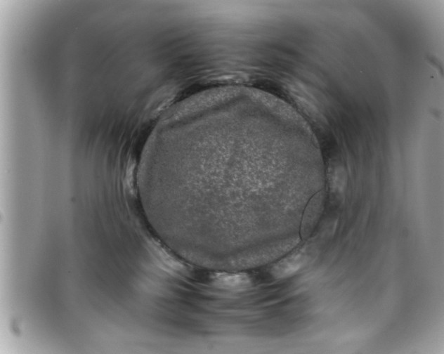 X0000097760185200803211722