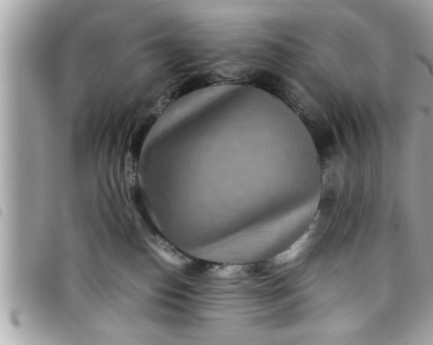 X0000097760186200803211722