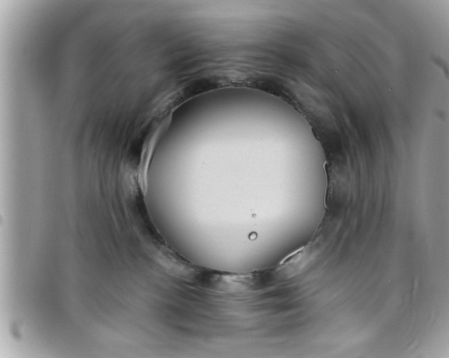 X0000097760188200803211722