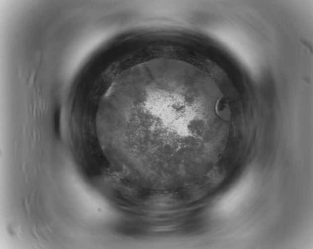 X0000097760189200803211722