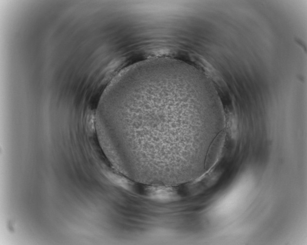 X0000097760191200803211722