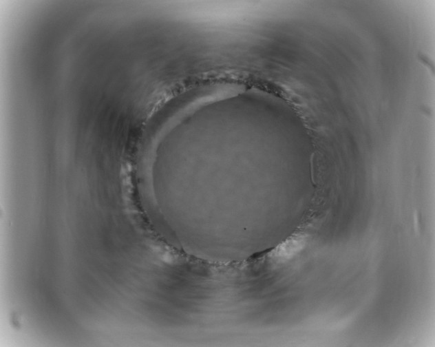 X0000097760192200803211722