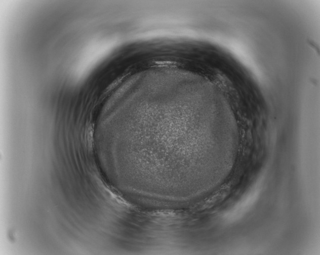 X0000097760194200803211721