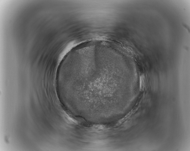 X0000097760195200803211721