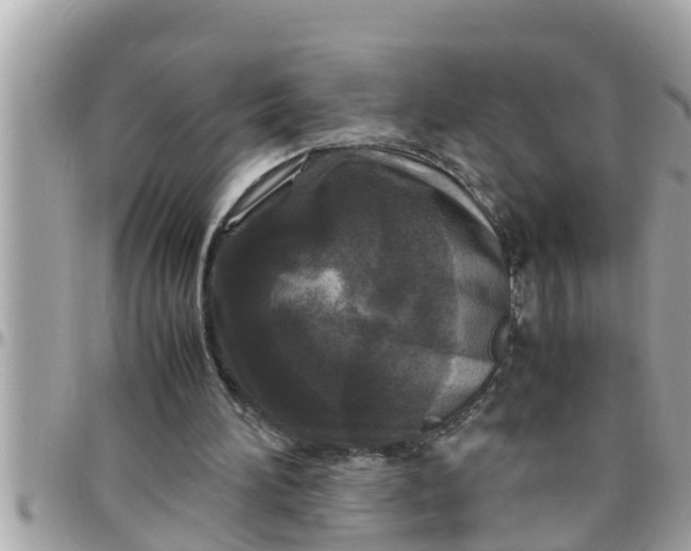 X0000097760196200803211721