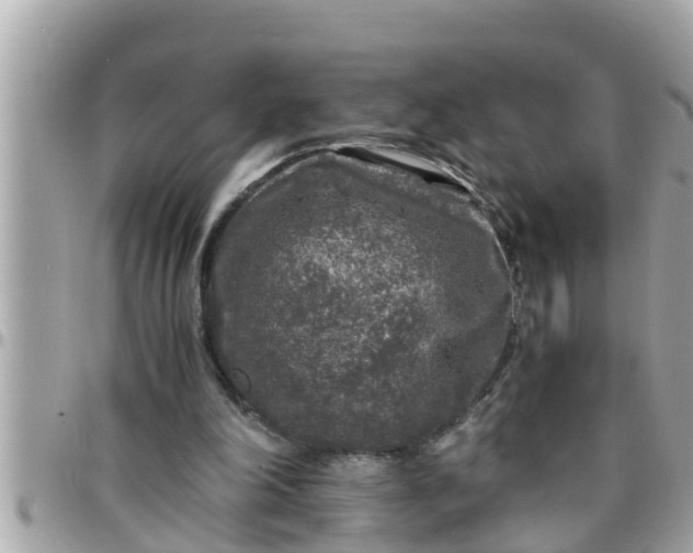 X0000097760198200803211721