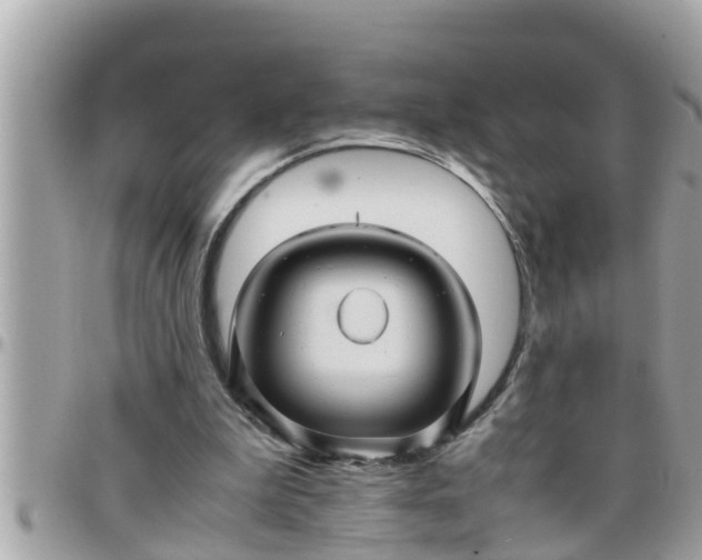 X0000097760199200803211721