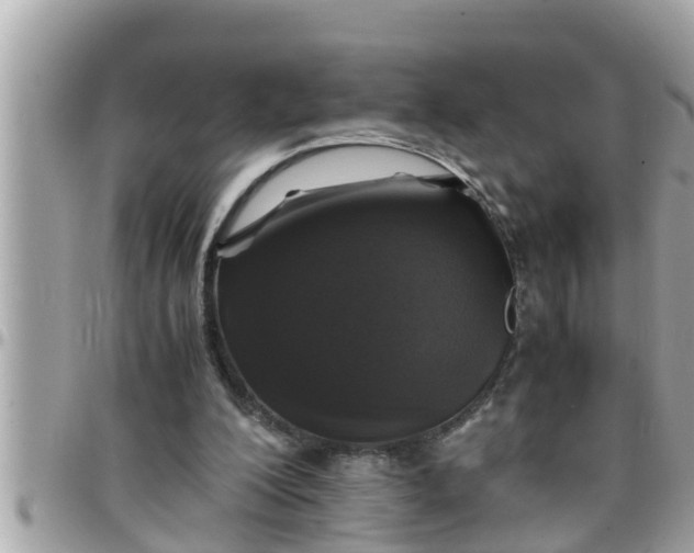 X0000097760200200803211721