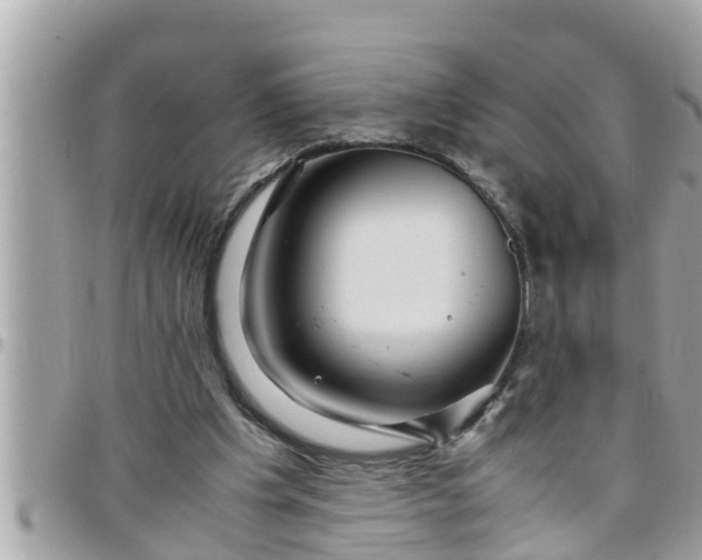 X0000097760201200803211721