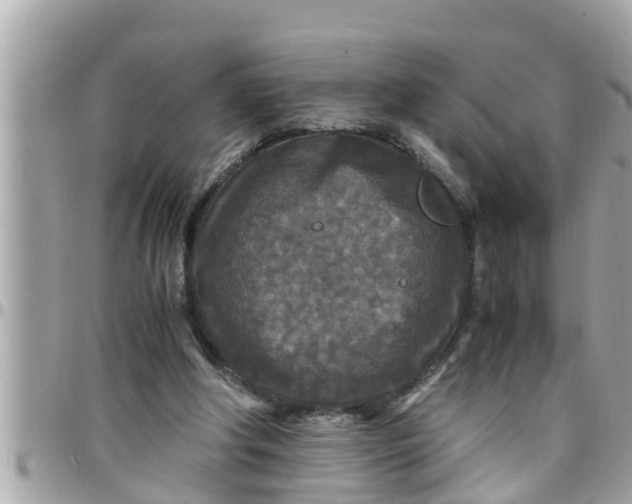 X0000097760202200803211721