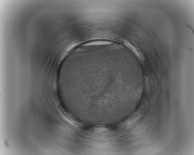 X0000097760203200803211721