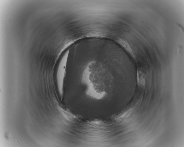 X0000097760204200803211721