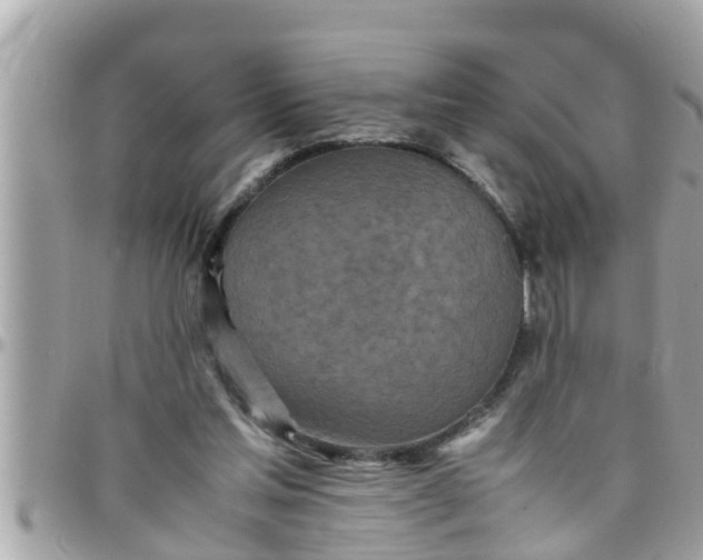 X0000097760205200803211721