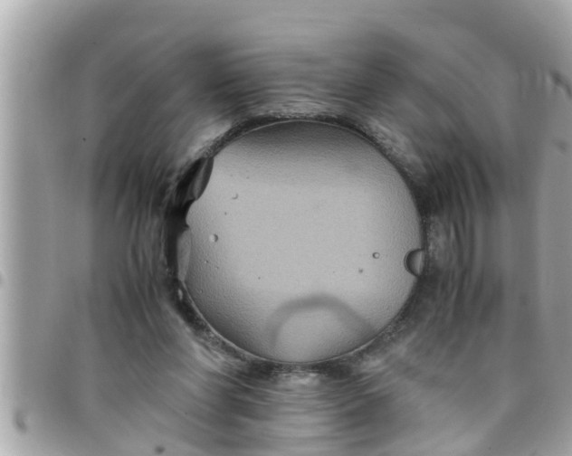 X0000097760206200803211721