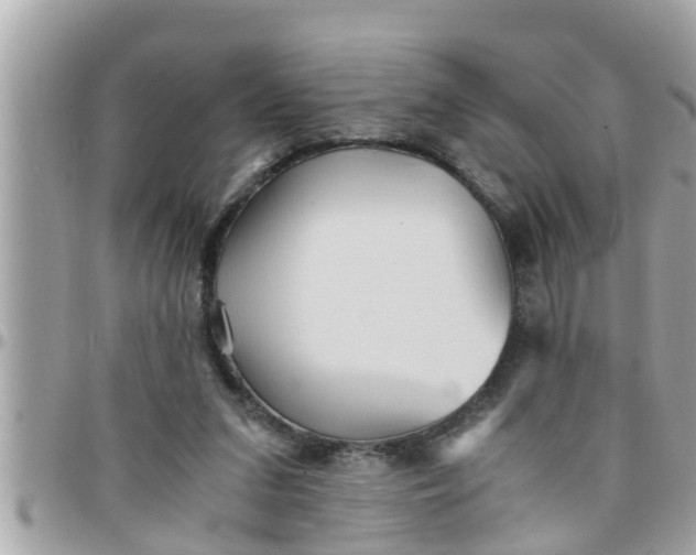 X0000097760207200803211721