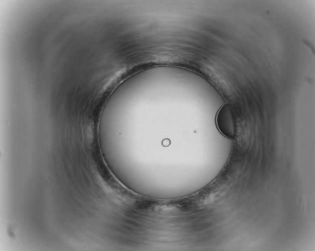 X0000097760208200803211721