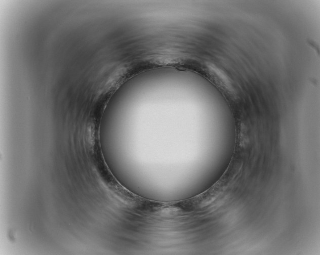 X0000097760210200803211721