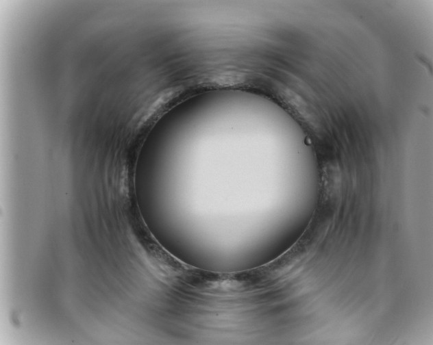 X0000097760212200803211721