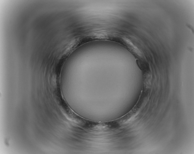 X0000097760213200803211721