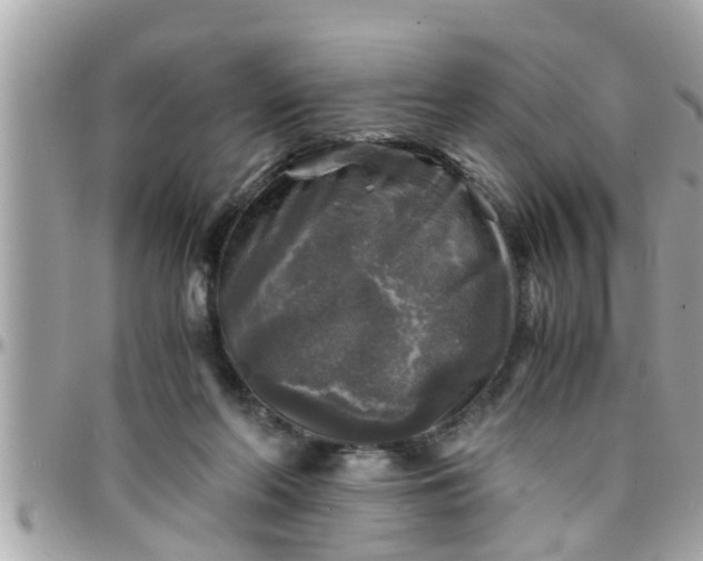 X0000097760214200803211721