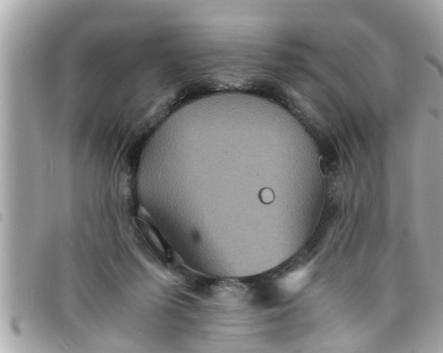 X0000097760215200803211721