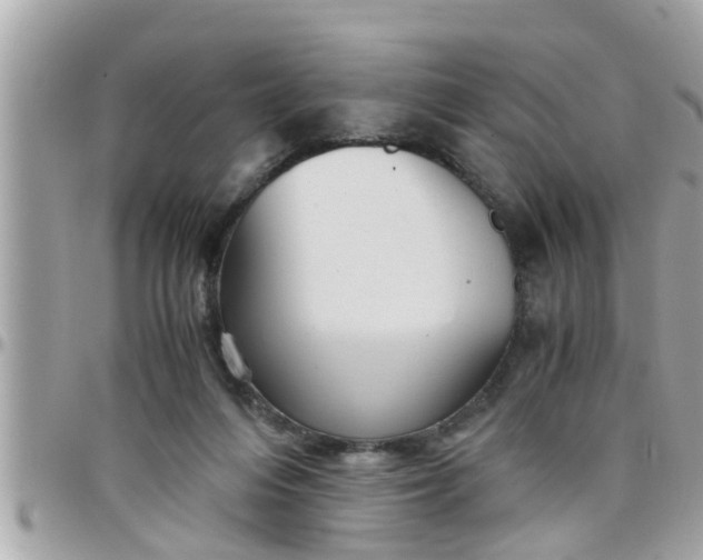 X0000097760216200803211721