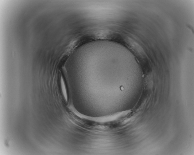 X0000097760217200803211721