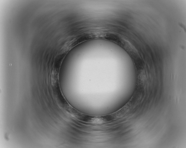 X0000097760218200803211721