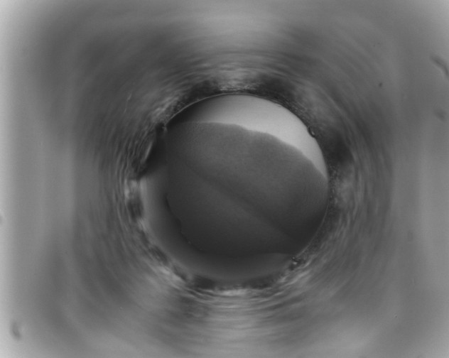 X0000097760219200803211721