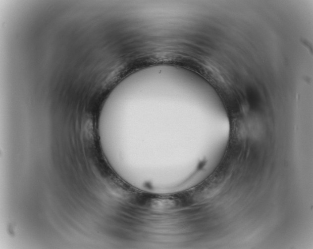 X0000097760220200803211721