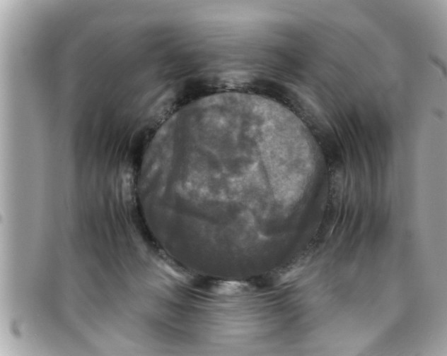 X0000097760222200803211721