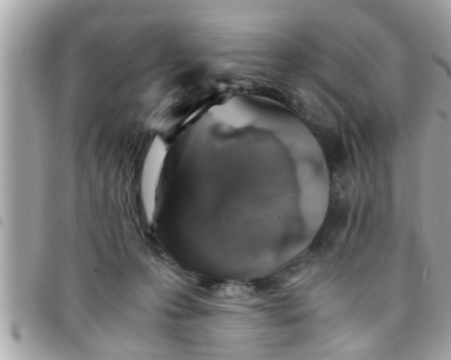 X0000097760223200803211721