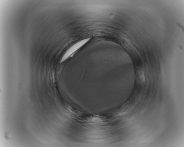 X0000097760224200803211721