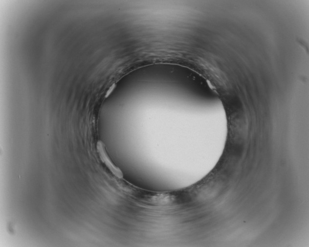 X0000097760225200803211721