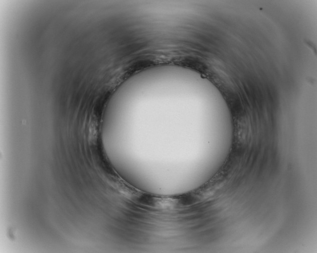 X0000097760226200803211721