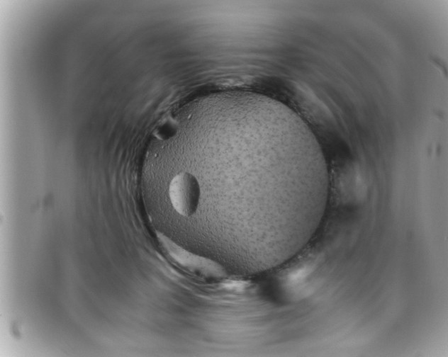 X0000097760227200803211721