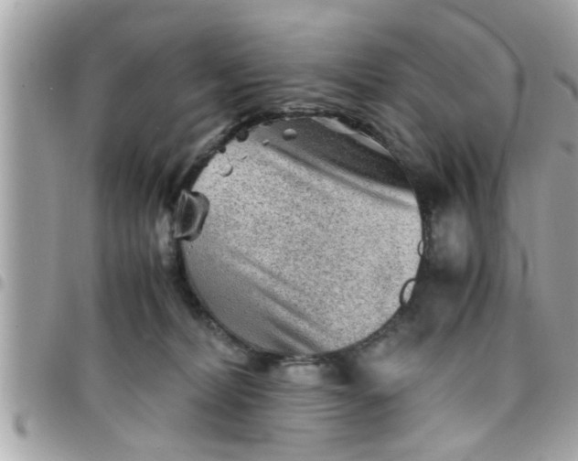 X0000097760228200803211721