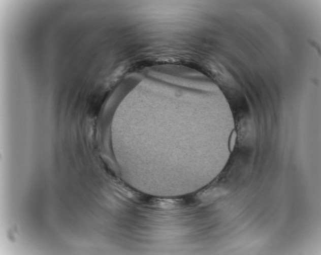 X0000097760229200803211721