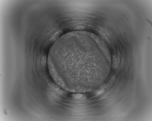 X0000097760230200803211721