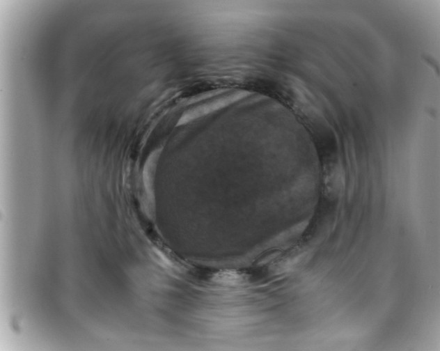 X0000097760231200803211721