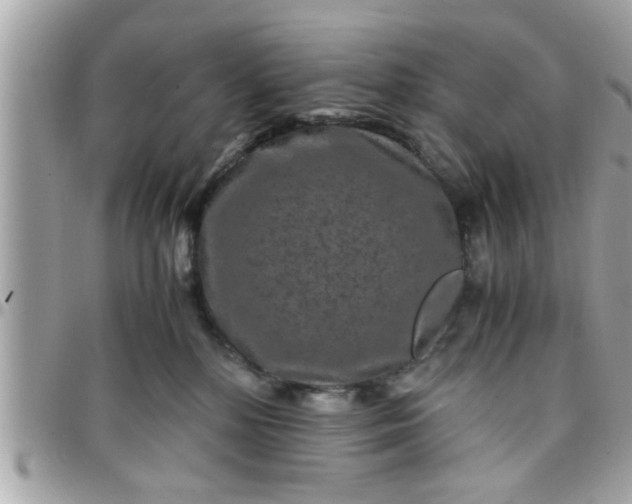 X0000097760232200803211721